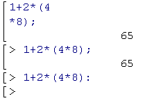 MAPLE Input