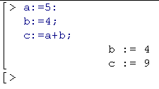 MAPLE Input